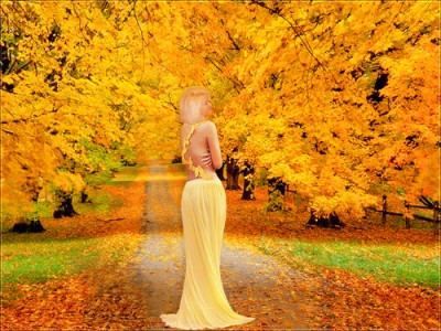 Золотая осень