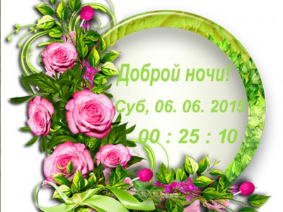 розовые розы