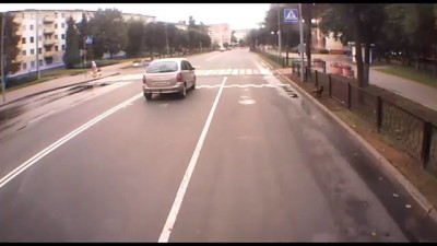 Кот - машна - забор