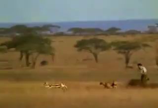 Неожиданный поворот