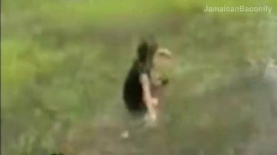 Прикольная вставка музыки в гифки!