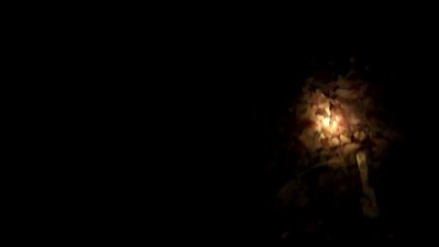 Bigfoot Caught on Tape at Night HD