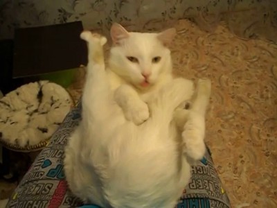 Кеша кайфует