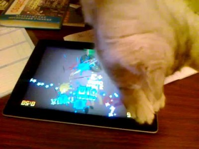 Кот играет в игру