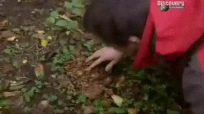 Веселые - фекалии