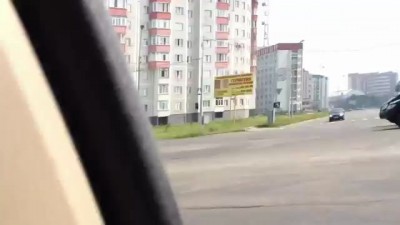 Лошадь - по зебре .