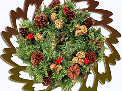 ель и шишки