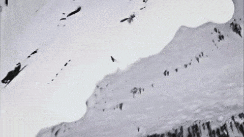 1416481768_398353451