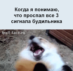 gifkah-situacii-zhiznennye-zhiznenno-komiks_825464797