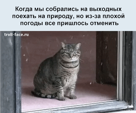 gifkah-situacii-zhiznennye-zhiznenno-komiks_3010547011