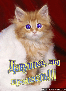 девушка вы прелесть
