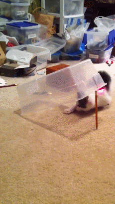 cm_20141120_4832_009