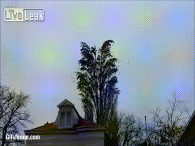 gifki-gifki-smeshnye-gifki-animashki_235211582