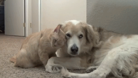 1417302102_1298525701