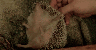 14645_2_1375094545902