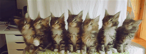 gifs_03
