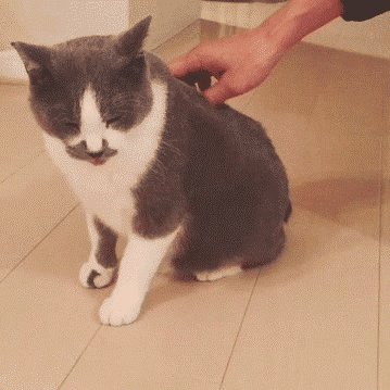 1417902051_497051433