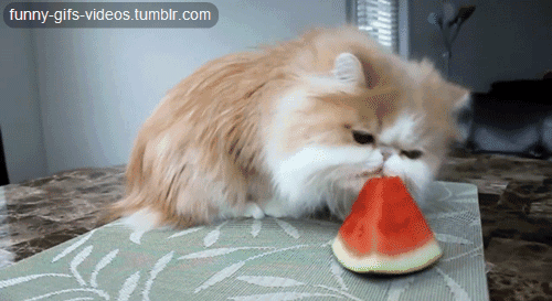 a1a4a7827abefcc23b4f4951b65