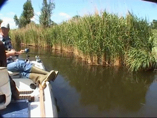 HPpbZUC5_yapfiles.ru