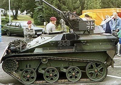 Wiesel_3