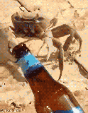 gifs_11