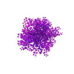 ivy_busy111_yapfiles