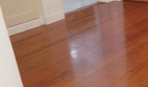 1418478501_863783004