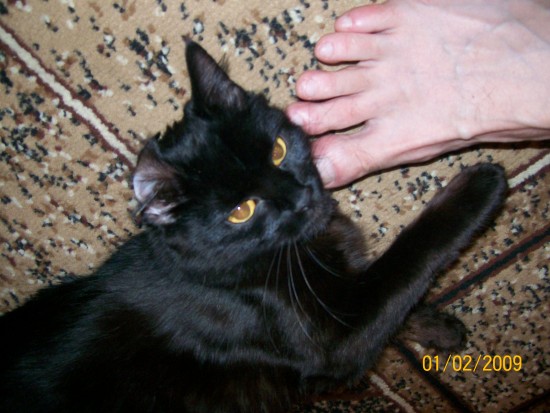 Изображение 050