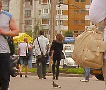 Братец Лис 2