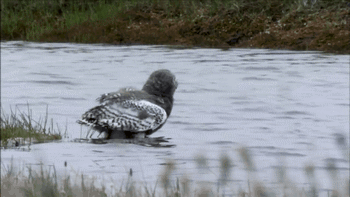 14190211295fa2db055449a4830a44f3dc29b22779