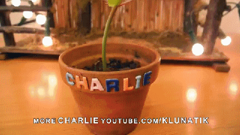 1419091882-3da65823fd5aff0c8b7d7b6b61a33b5e