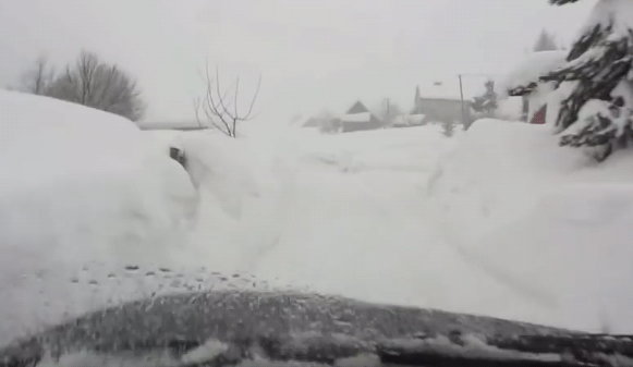 1419196361_1341436258