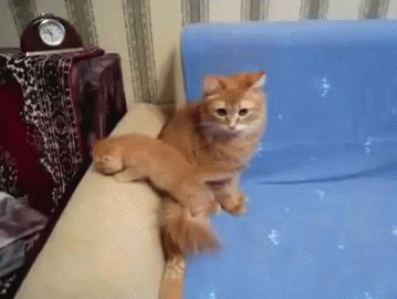 Мааааам ты куда