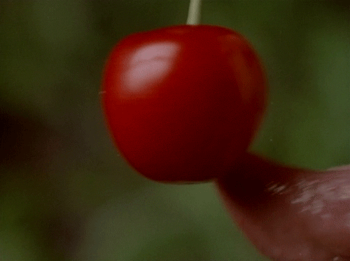 tumblr_mqvuctV5mm1r5q1hbo1_500