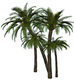 0315043800999_08_HBFICGoodFridayBlogTrainElement52