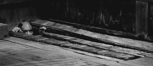 tumblr_nhvoqpPSJE1t0cscho1_500