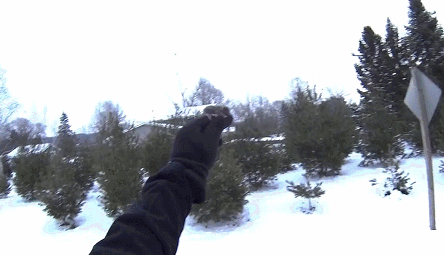 -гифок-гифки-Сова-кормёжка-1783021