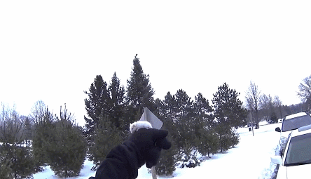 -гифок-гифки-Сова-кормёжка-1783019