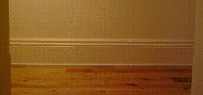 -гифки-скейт-711378