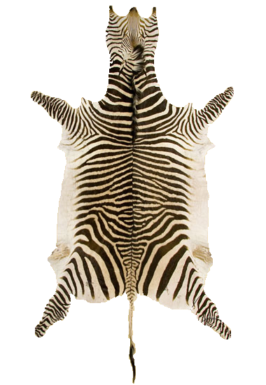 c64d6defc2b514afa20f3bdf4964c1be