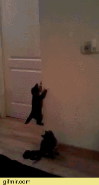 спайлермен