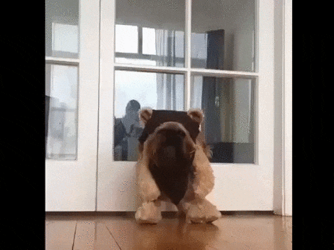 1421384453_1144574205