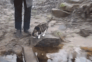 она же мокрая