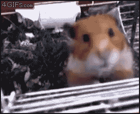 post-5252-1359028725