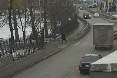 ДТП на зебре