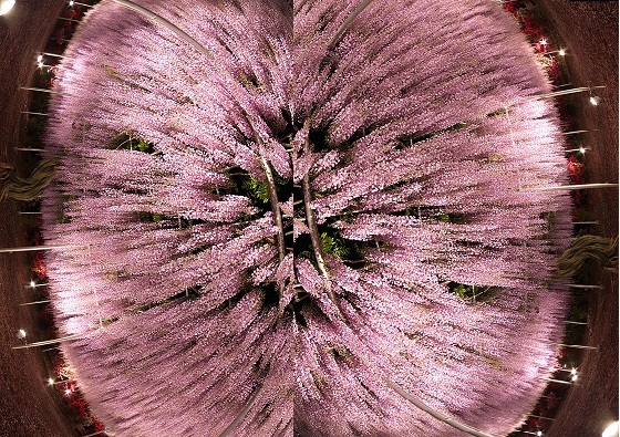 tumblr_n9r5nmQdY01rlaql2o8_1280