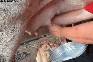 1365667823_tolko_ne_v_glaz