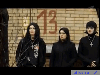 =GIFUS.RU=goti-krestyatsya-4051