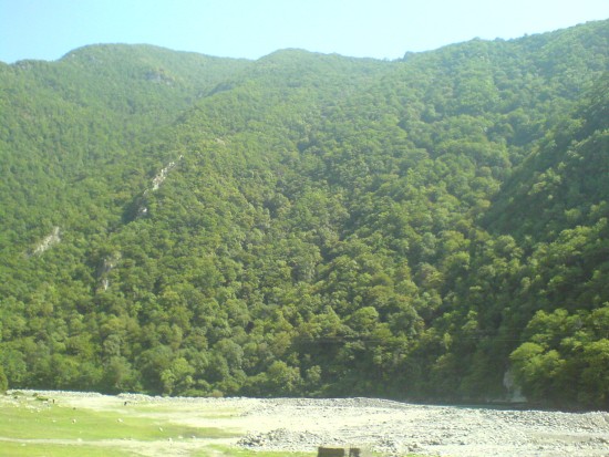 DSC00135