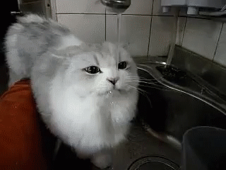 111